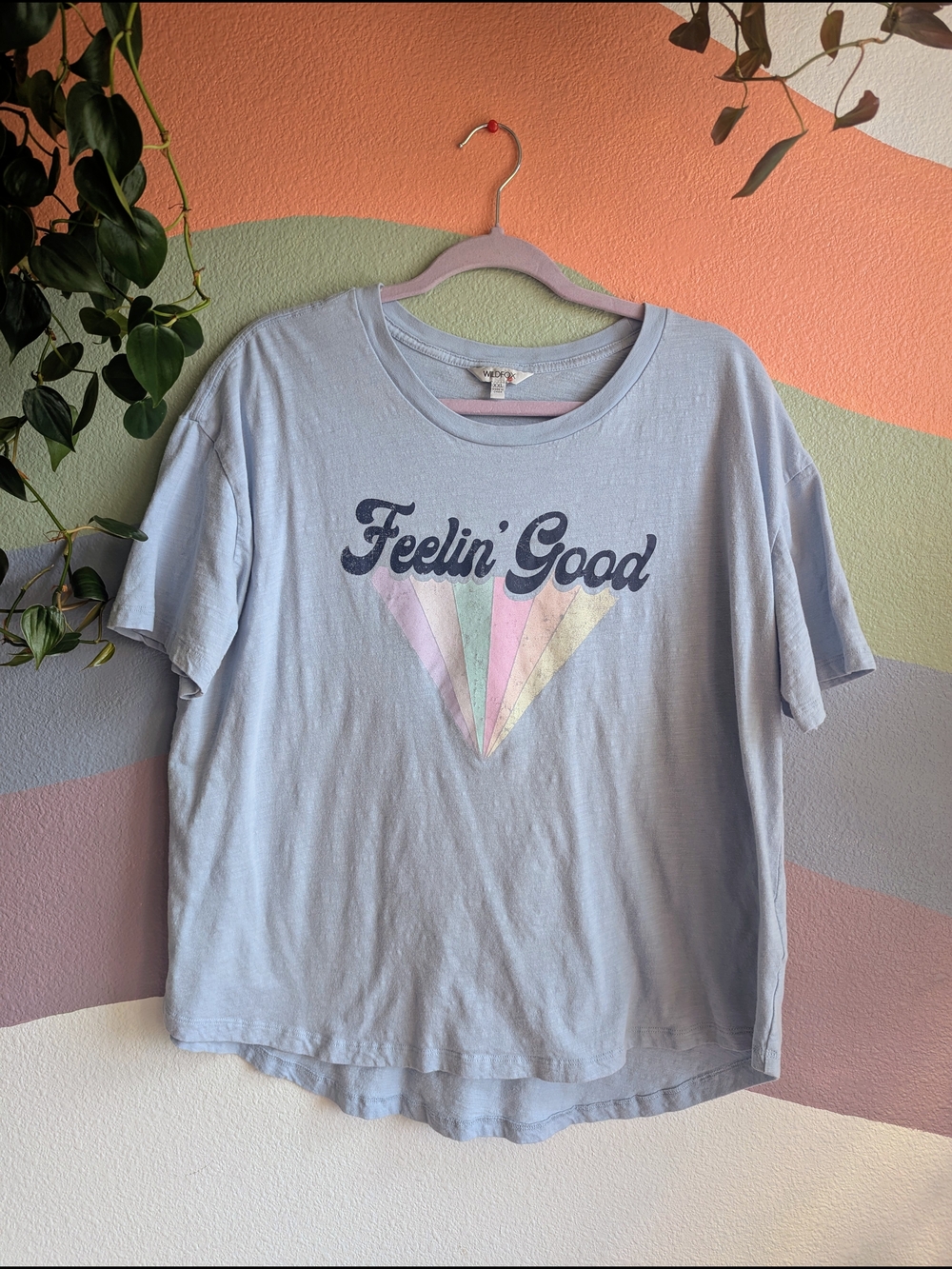 Wildfox Feelin' Good Pastel Graphic Tee